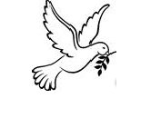 БУ СО ВО "Комплексный центр социального обслуживания населения Шекснинского района"